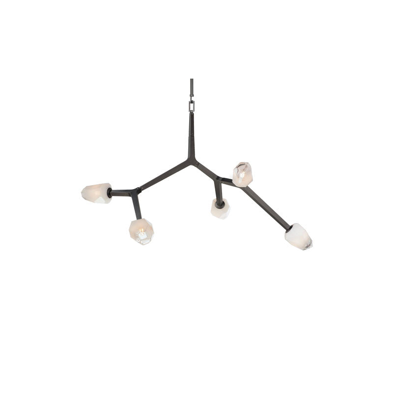 Blossom 5 Light Pendant Black