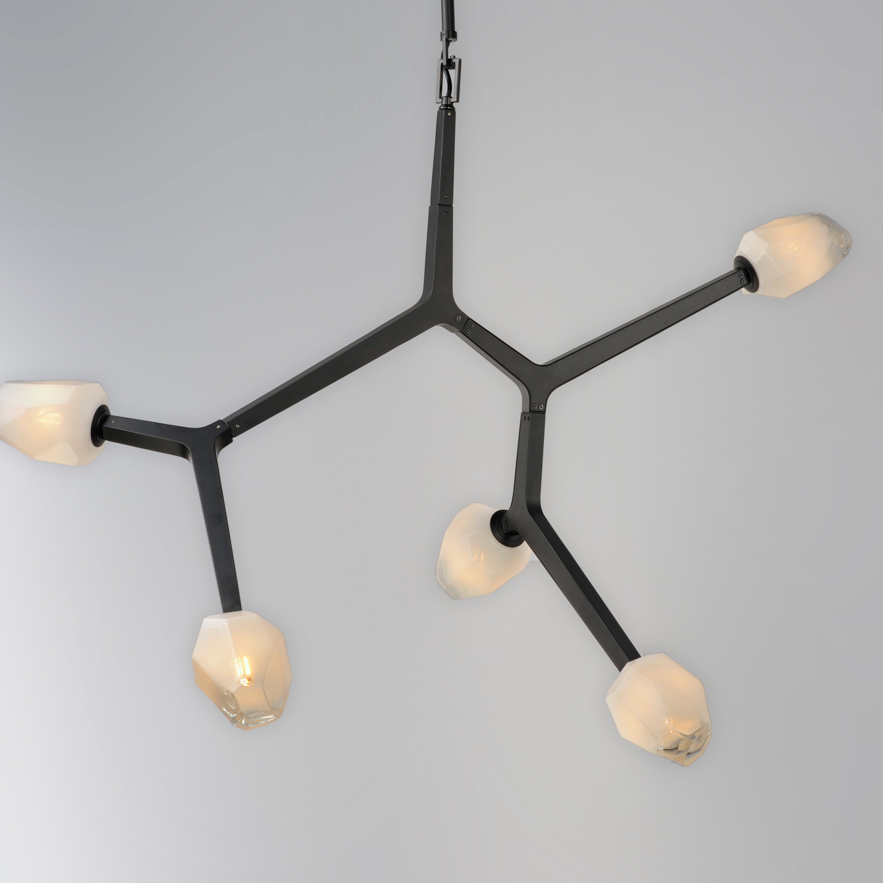 Blossom 5 Light Pendant Black