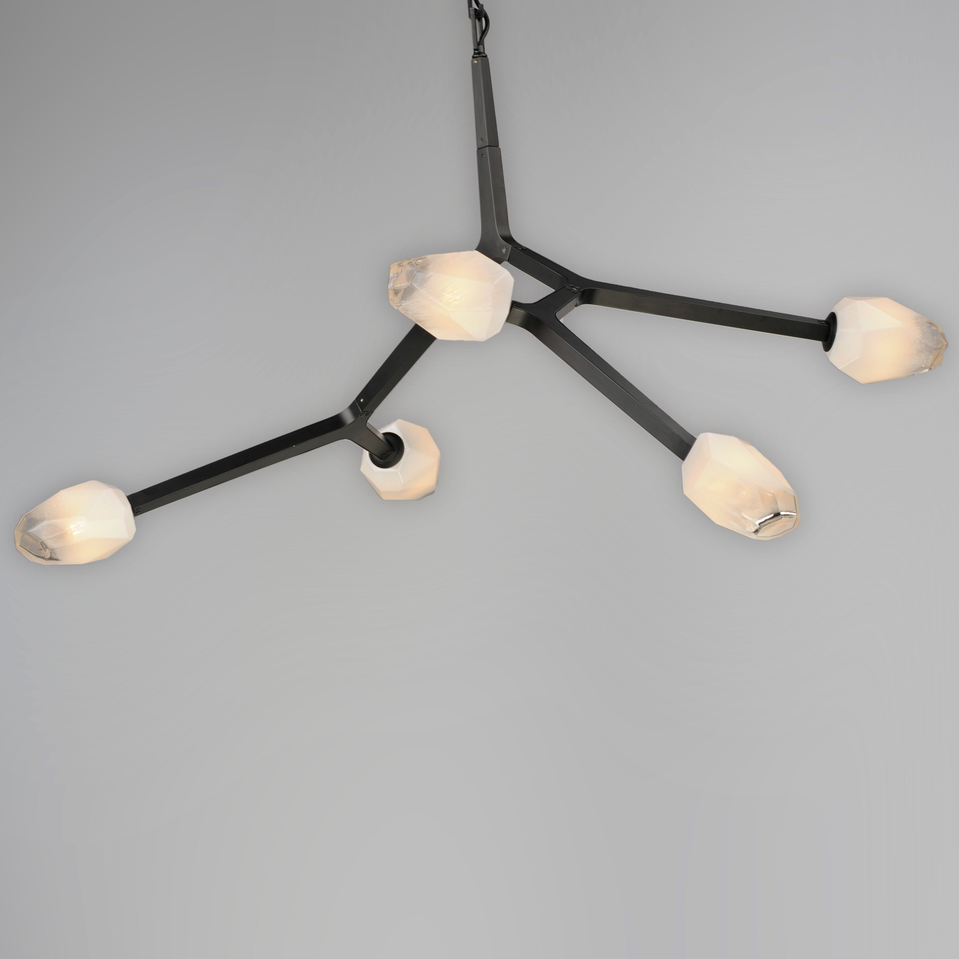 Blossom 5 Light Pendant Black