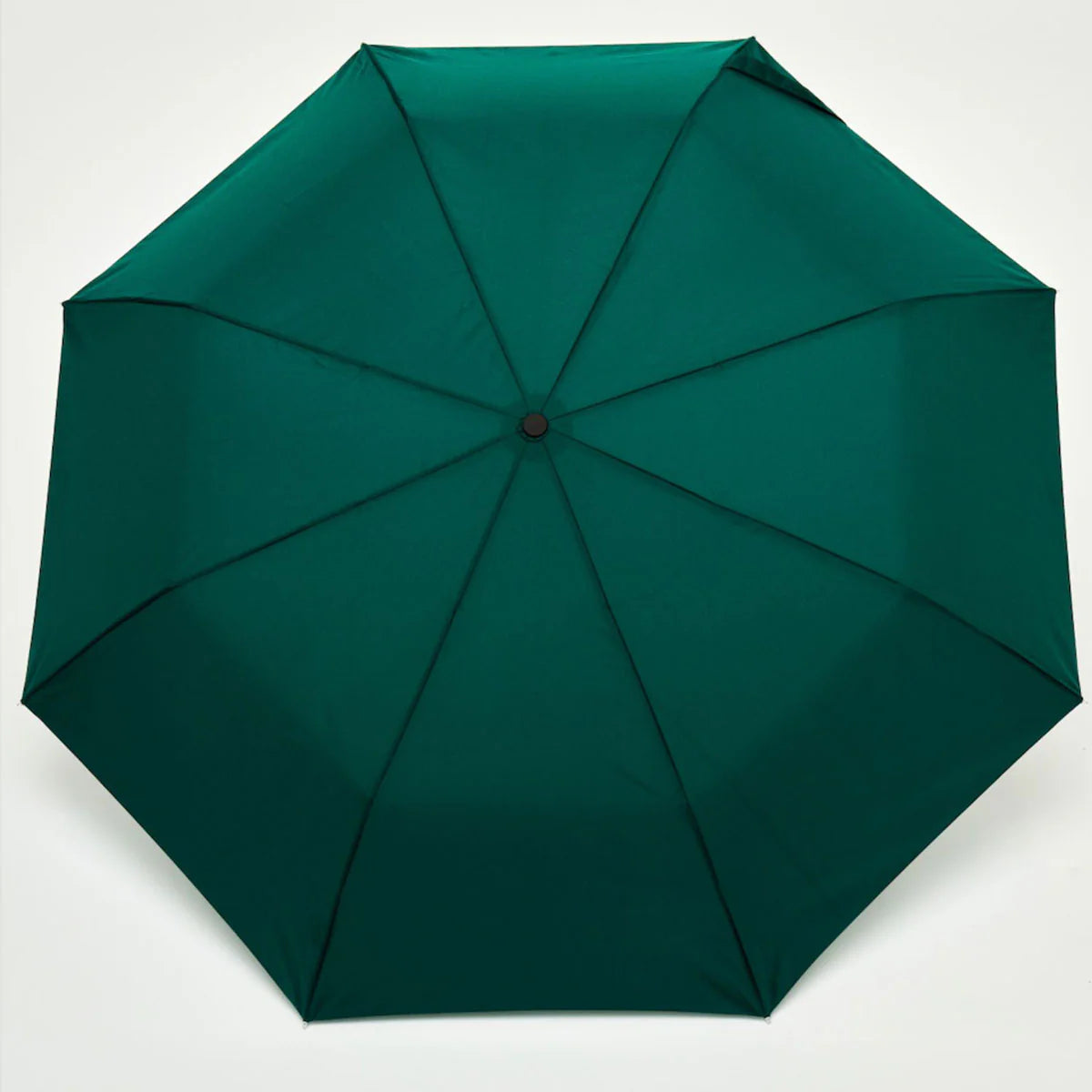 Duck Umbrella Forest